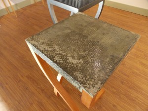 this is  the  caption